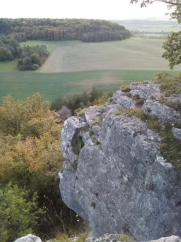 la roche bernard de viéville